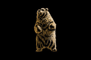 Download Bear Polar Grizzly - Premium Resources